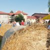 PIKNIK 2012 241